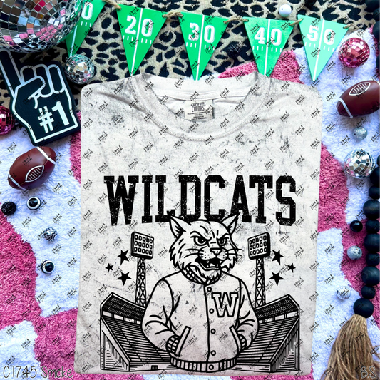 Wildcats Stadium