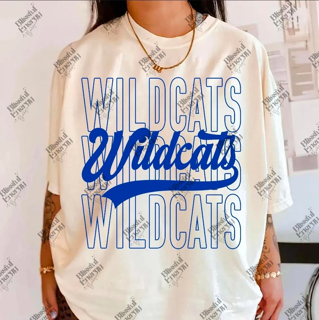 Wildcats Script